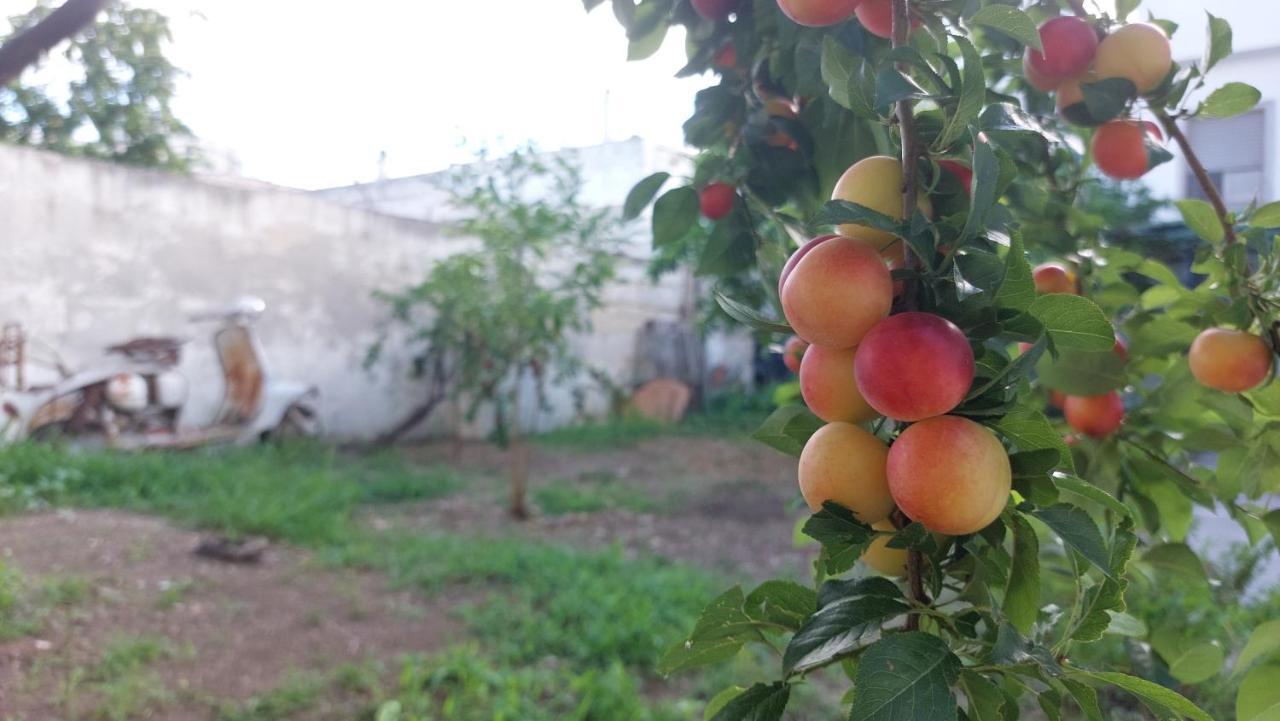 Jonia Appartamento Vacanze Vicino Al Mare Con Giardino Pulsano Exterior foto